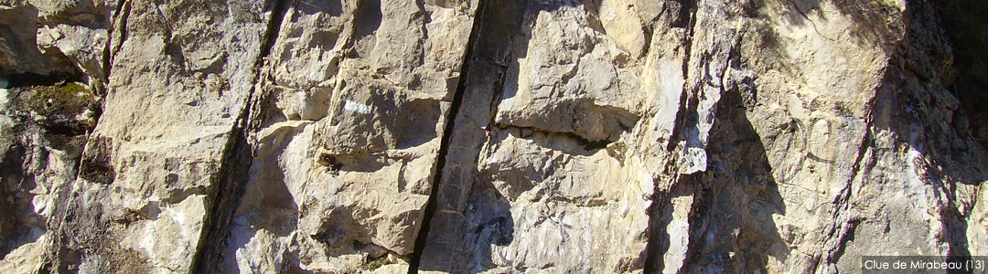 Bancs de calcaire redressés - Clue de Mirabeau