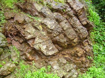 Prismes de basalte - Carquerainne - Permien supérieur