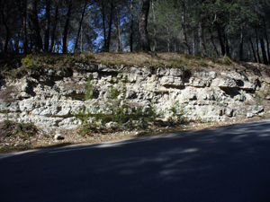 Calcaires oligocènes - Chaîne de la Trévaresse