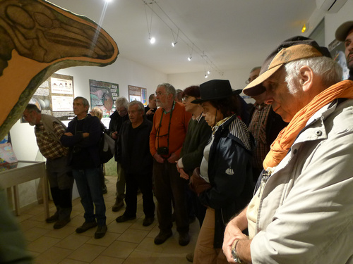 Sortie Tectonique salifère - Haut Var - Musée de Fox-Amphoux