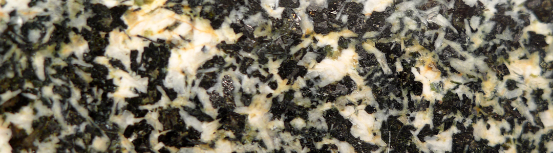 Granodiorite à amphibole - section polie