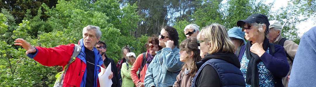 JNG - Alpilles - Sortie et assistance