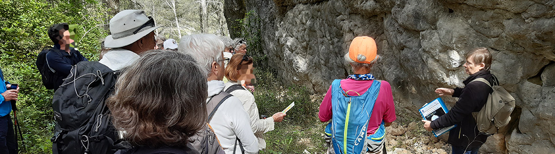 JNG - Alpilles - Sortie et assistance