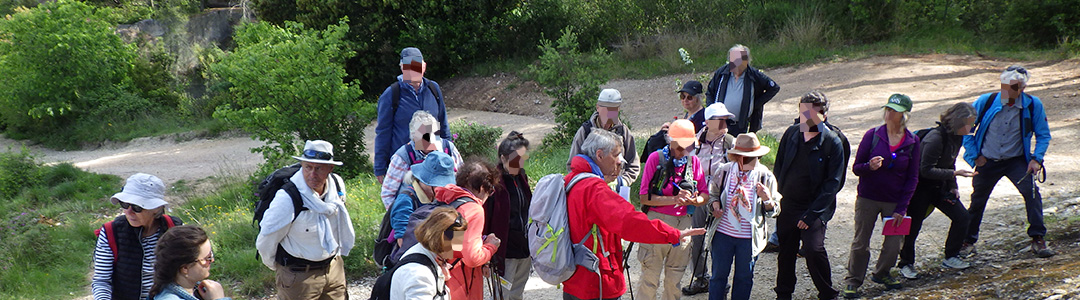 JNG - Alpilles - Sortie et assistance