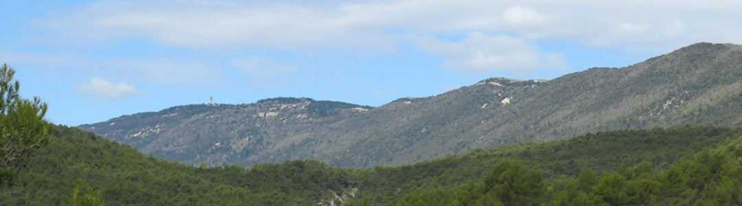 Panorama sur le Grand Luberon