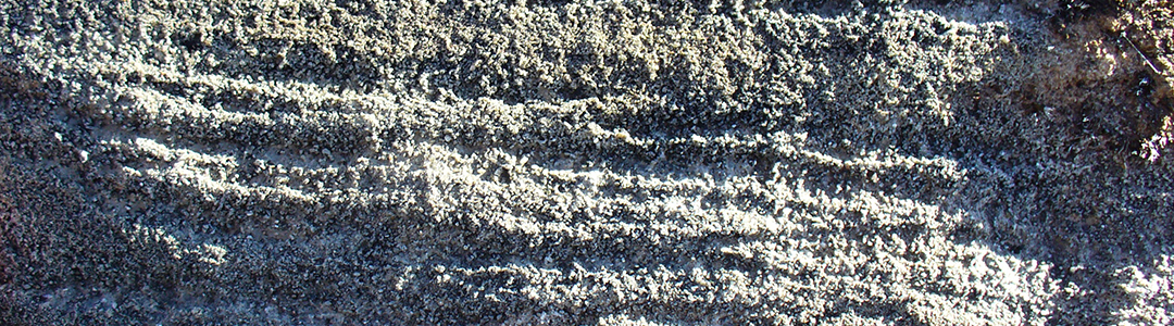 Faciès gréseux des molasses