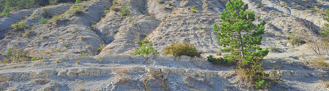 Sortie Clou d'or dans la Drôme