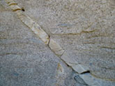 Filon d'aplite dans granite, Lanildut, Finistère